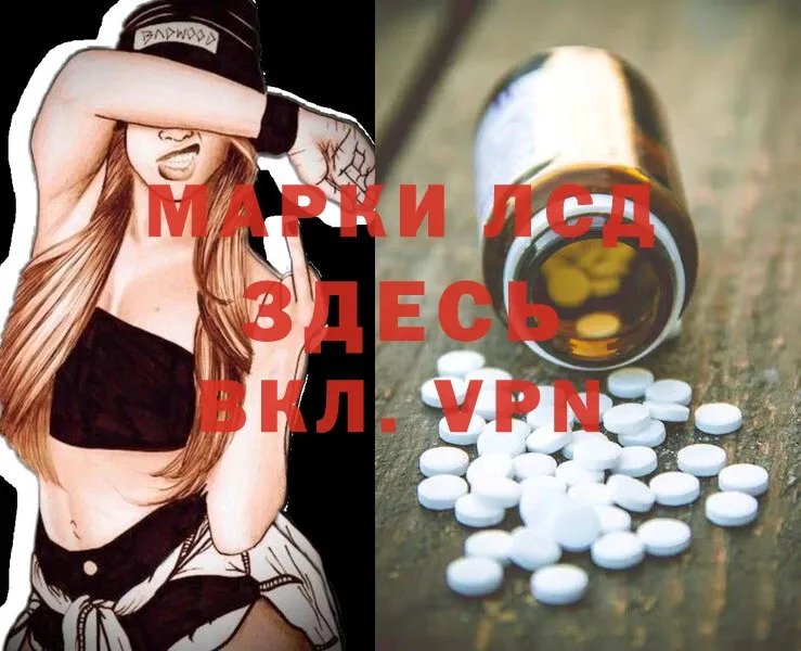 ЛСД экстази ecstasy  как найти наркотики  Жиздра 